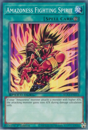 Amazoness Fighting Spirit - SGX3-END14 - Common