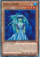 Aqua Spirit - SGX3-ENI20 - Common