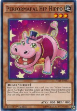 Performapal Hip Hippo - YS16-EN013 - Common