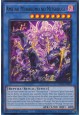 Ame no Murakumo no Mitsurugi - SUDA-EN092 - Ultra Rare