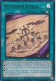 Mitsurugi Ritual - SUDA-EN095 - Ultra Rare