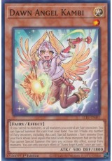 Dawn Angel Kambi - ALIN-EN081 - Common