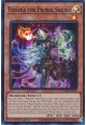 Tessera the Primal Squire - DUAD-EN018 - Super Rare