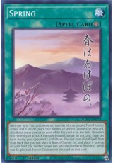 Spring - DUAD-EN073 - Common