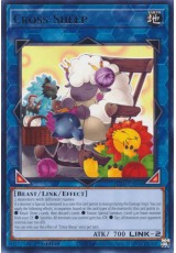 Cross-Sheep - JUSH-EN048 - Rare