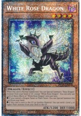 White Rose Dragon - MP25-EN038 - Starlight Rare