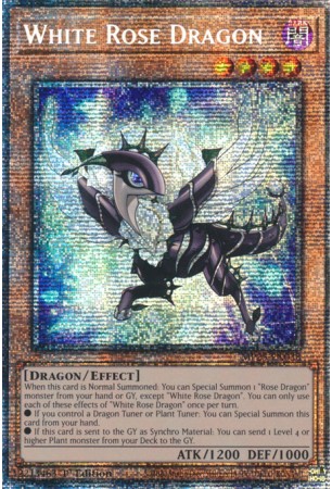 White Rose Dragon - MP25-EN038 - Starlight Rare