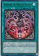 Beware the White Forest - MP25-EN227 - Ultra Rare