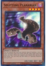 Splitting Planarian - MP25-EN263 - Ultra Rare