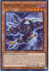 Raidraptor - Noir Lanius - MP25-EN302 - Common