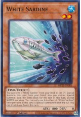 White Sardine - MP25-EN305 - Common