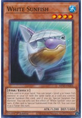 White Sunfish - MP25-EN304 - Common