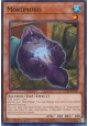 Mokomoko - MP25-EN310 - Common