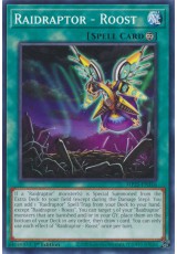 Raidraptor - Roost - MP25-EN316 - Common