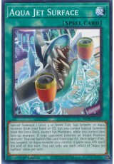 Aqua Jet Surface - MP25-EN416 - Common