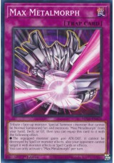 Max Metalmorph - MP25-EN424 - Common