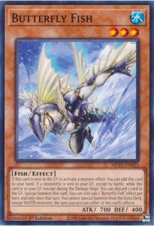 Butterfly Fish - MP25-EN433 - Common