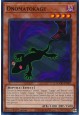 Onomatokage - DOOD-EN007 - Common Onomatokage - DOOD-EN007 - Common