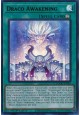 Draco Awakening - DOOD-EN064 - Ultra Rare Draco Awakening - DOOD-EN064 - Ultra Rare