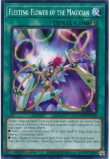 Fleeting Flower of the Magician - DOOD-EN089 - Common