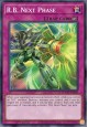 R.B. Next Phase - DOOD-EN096 - Common