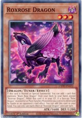 Roxrose Dragon - L5DD-ENA12 - Common