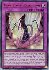 Blooming of the Darkest Rose - L5DD-ENA25 - Ultra Rare