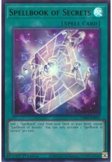 Spellbook of Secrets - CH02-EN032 - Ultra Rare