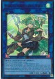 Wynn the Wind Charmer, Verdant - CH02-EN044 - Ultra Rare