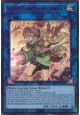 Aussa the Earth Charmer, Immovable - CH02-EN045 - Ultra Rare