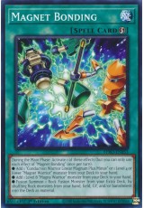 Magnet Bonding - BPRO-EN053 - Common