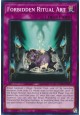 Forbidden Ritual Art - BPRO-EN077 - Common