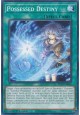 Possessed Destiny - BLZD-EN066 - Common