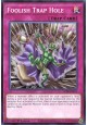 Foolish Trap Hole - CORI-EN077 - Common