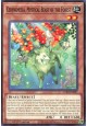 Cerynemesia, Mystical Beast of the Forest - CORI-EN087 - Common