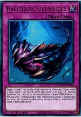 Paleozoic Olenoides - MAMO-EN116 - Ultra Rare