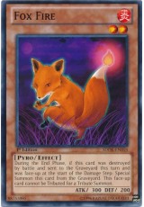 Fox Fire - SDOK-EN018 - Common