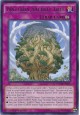 Naturia Sacred Tree - NECH-EN076 - Rare