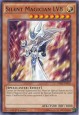 Silent Magician LV8 - DPRP-EN020 - Common