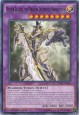 Buster Blader, the Dragon Destroyer Swordsman - SDMY-EN045 - Common