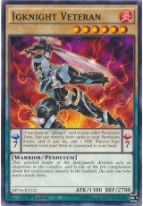 Igknight Veteran - MP16-EN131 - Common