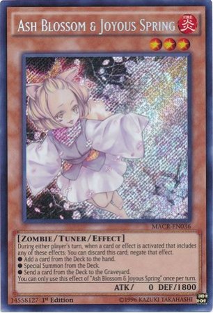 Ash Blossom & Joyous Spring - MACR-EN036 - Secret Rare