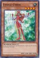 Etoile Cyber - DPDG-EN011 - Common