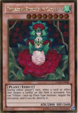 Tytannial, Princess of Camellias - PGLD-EN088 - Gold Rare