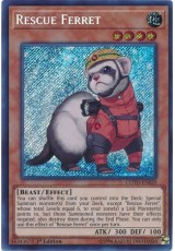 Rescue Ferret - COTD-EN029 - Secret Rare