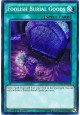 Foolish Burial Goods - MP17-EN218 - Secret Rare